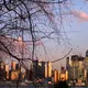 Jerseygirl profile