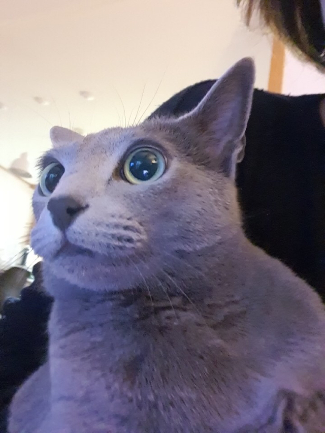 yukie profile
