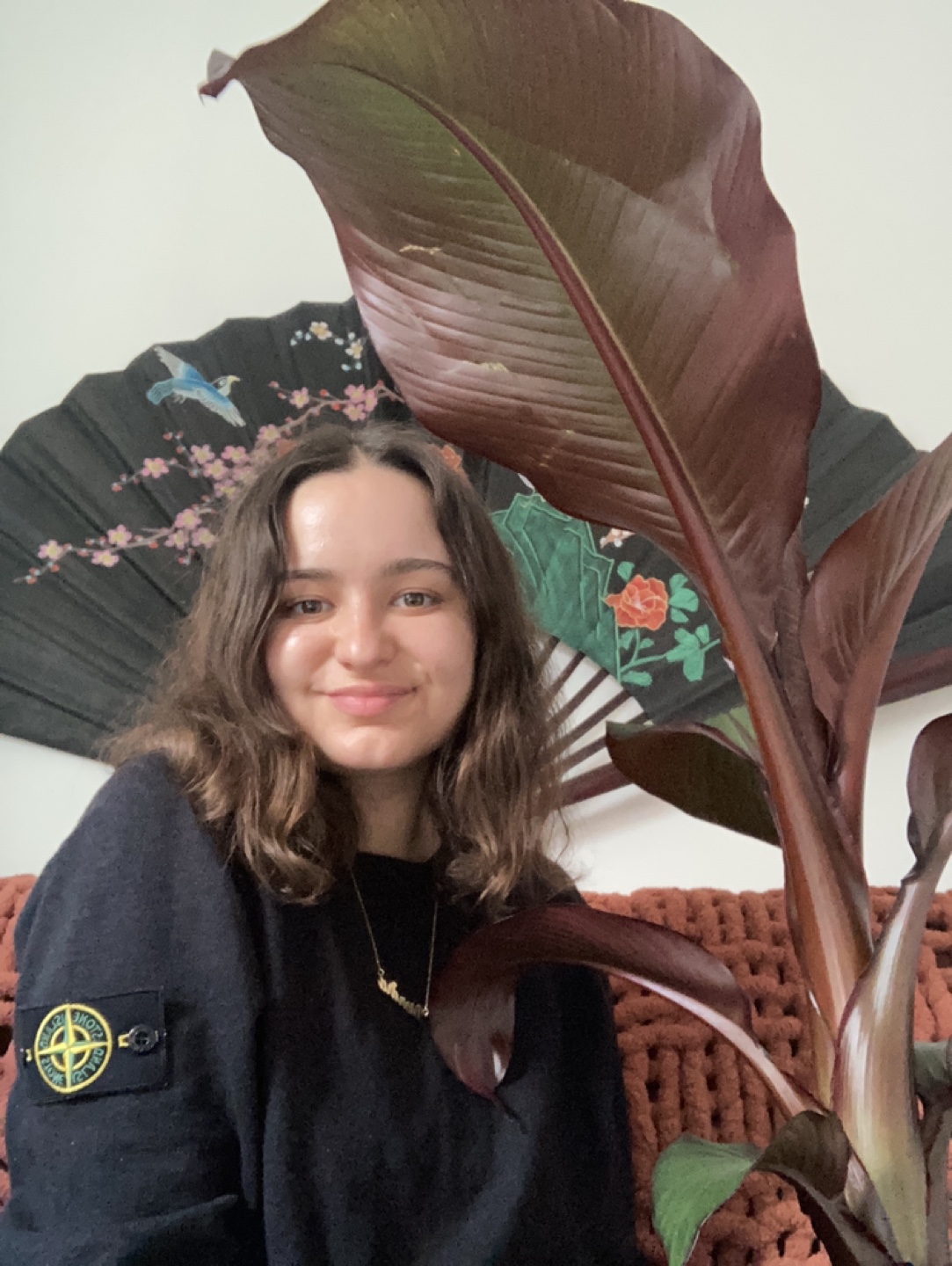 Diondra profile