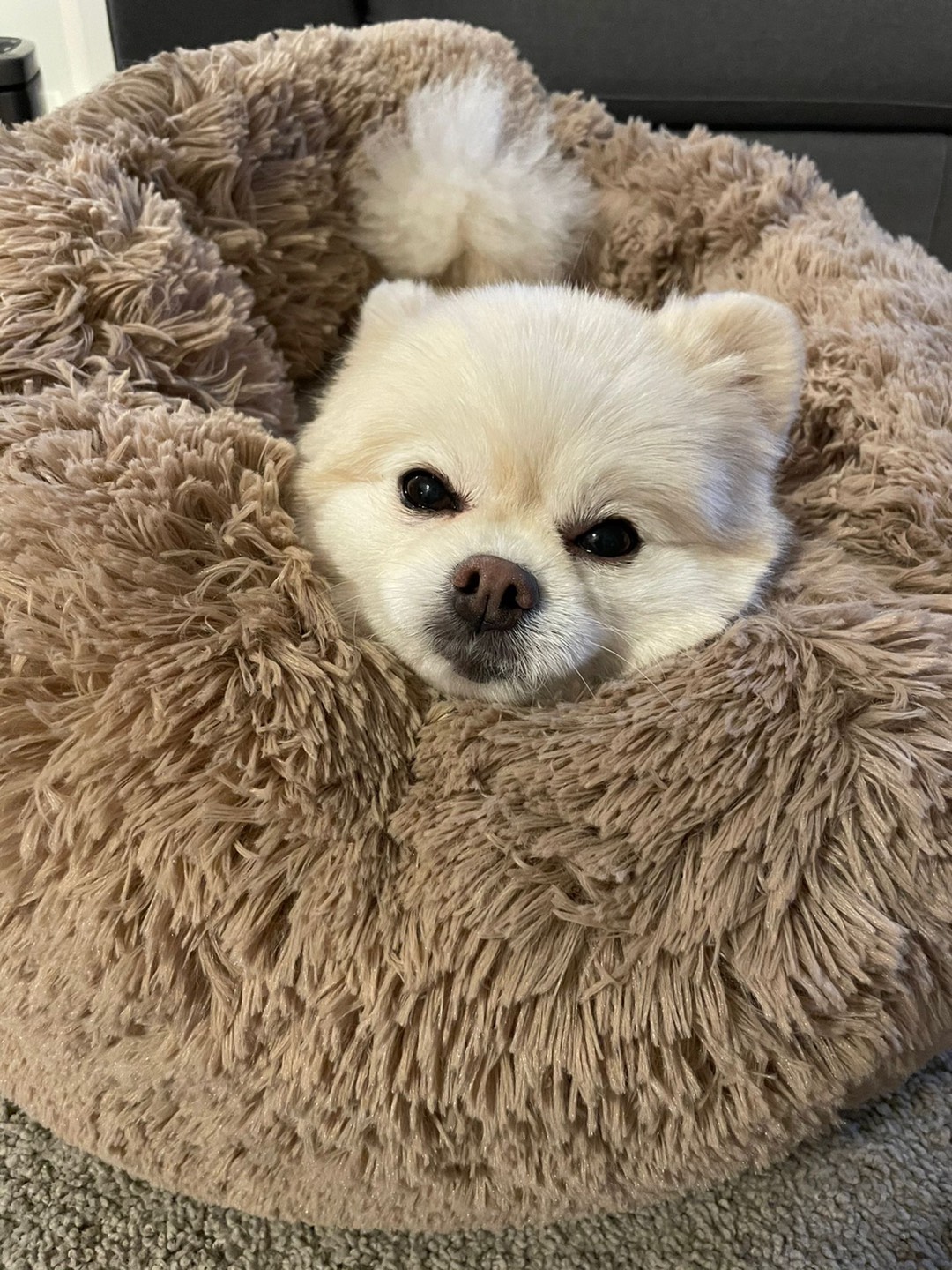Stan profile