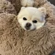 Stan profile
