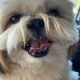 Tobi profile
