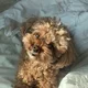 Lucy profile