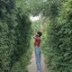 Anna profile