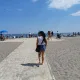 Athevicky profile