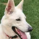 Sofie profile