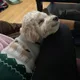 NJ profile