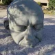 Logan profile