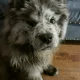 Juan profile