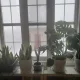 meeya profile