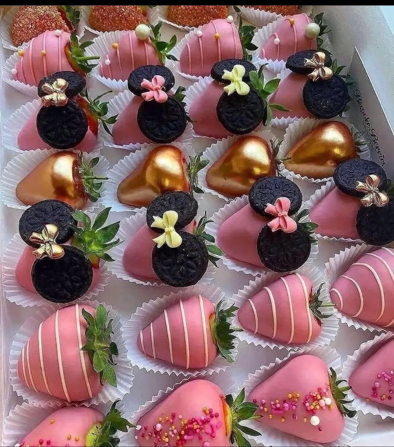 Camila Garcia profile