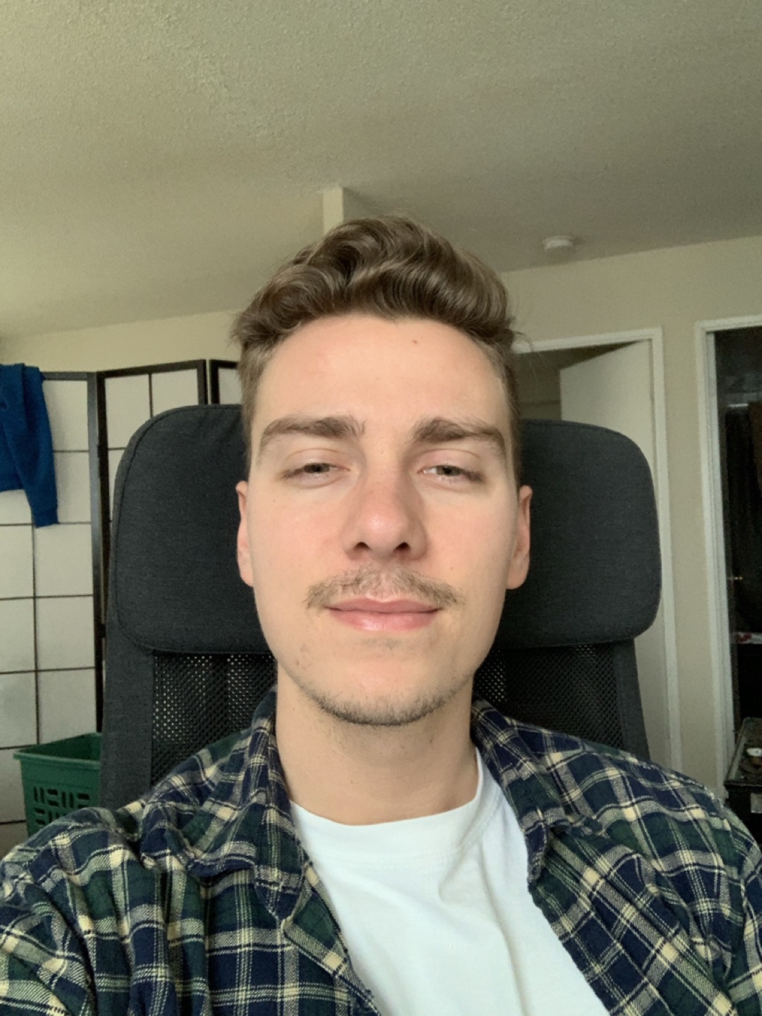 David profile