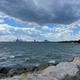 Toronto profile