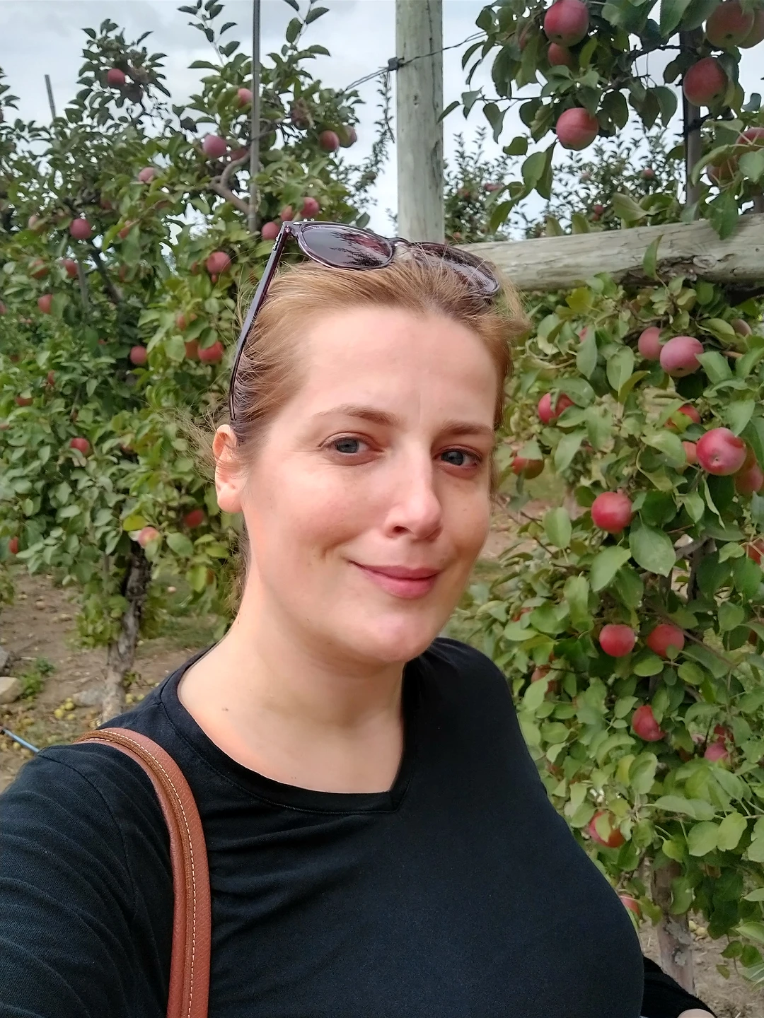 Zeljana profile