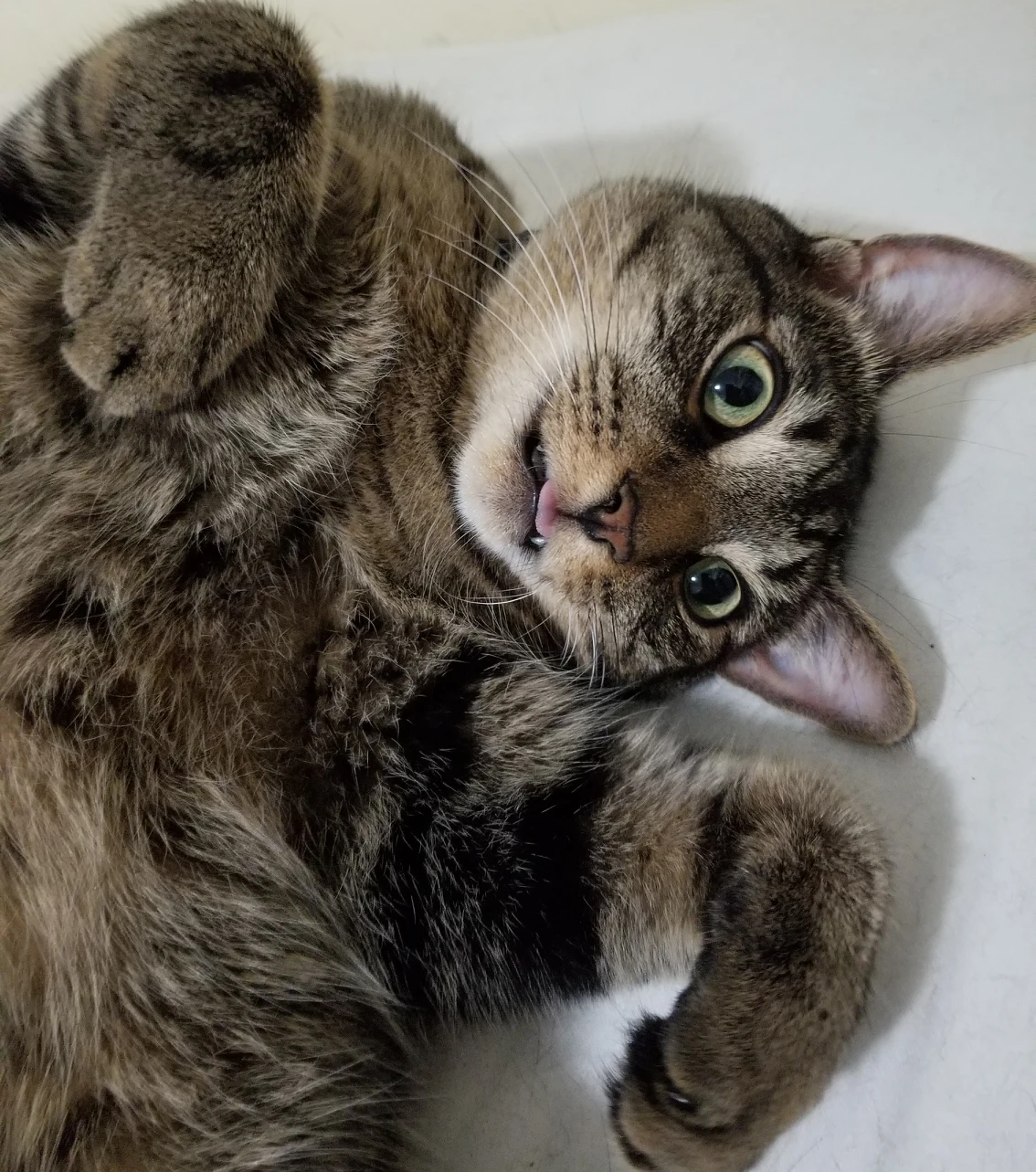 Lily