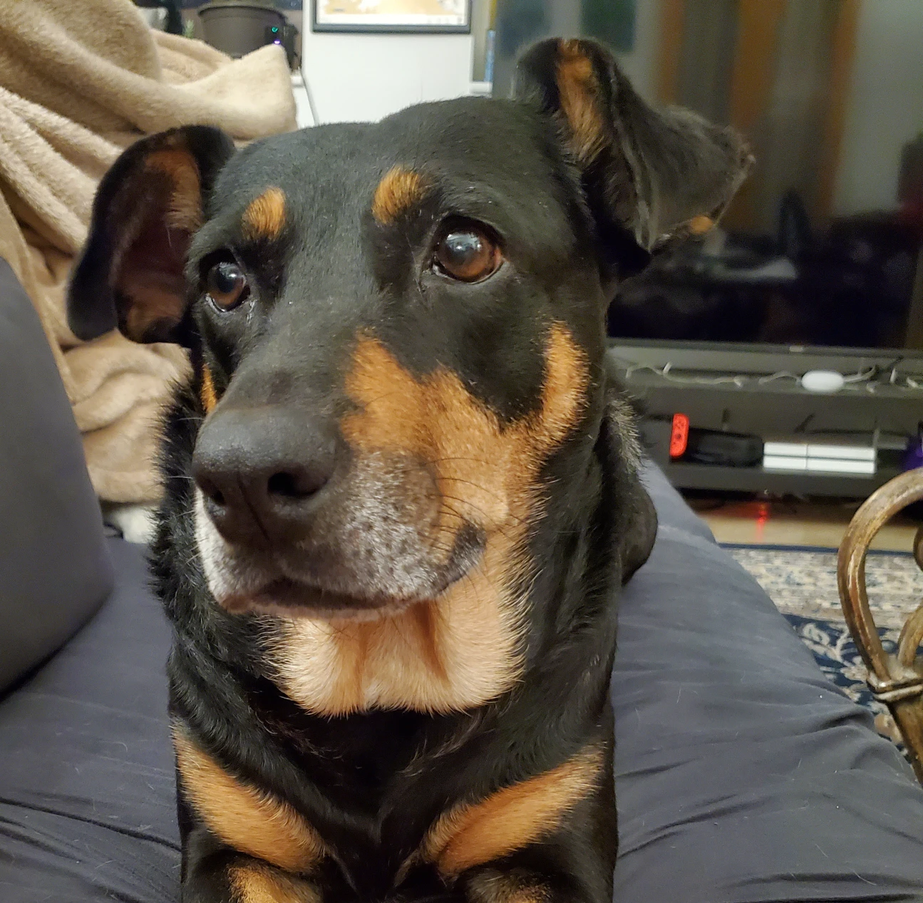 Prashant Pandey profile