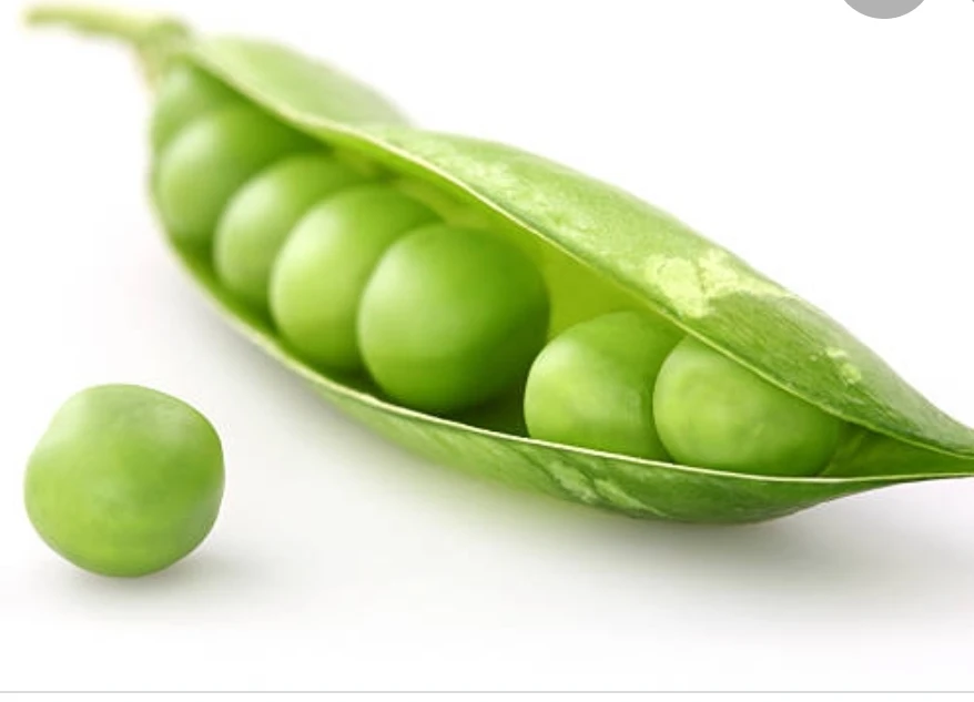 Pea profile