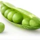 Pea profile