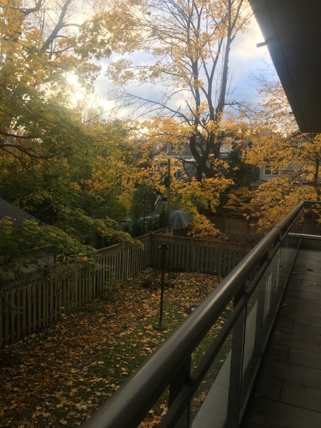 Michele Lynd profile