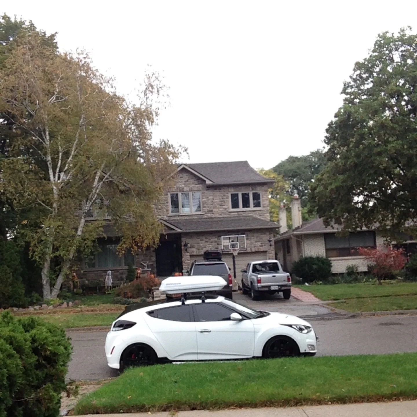 Mikokokwikwak profile