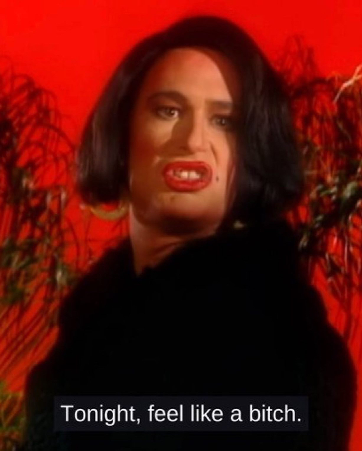 Sacha profile
