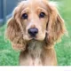 Val profile