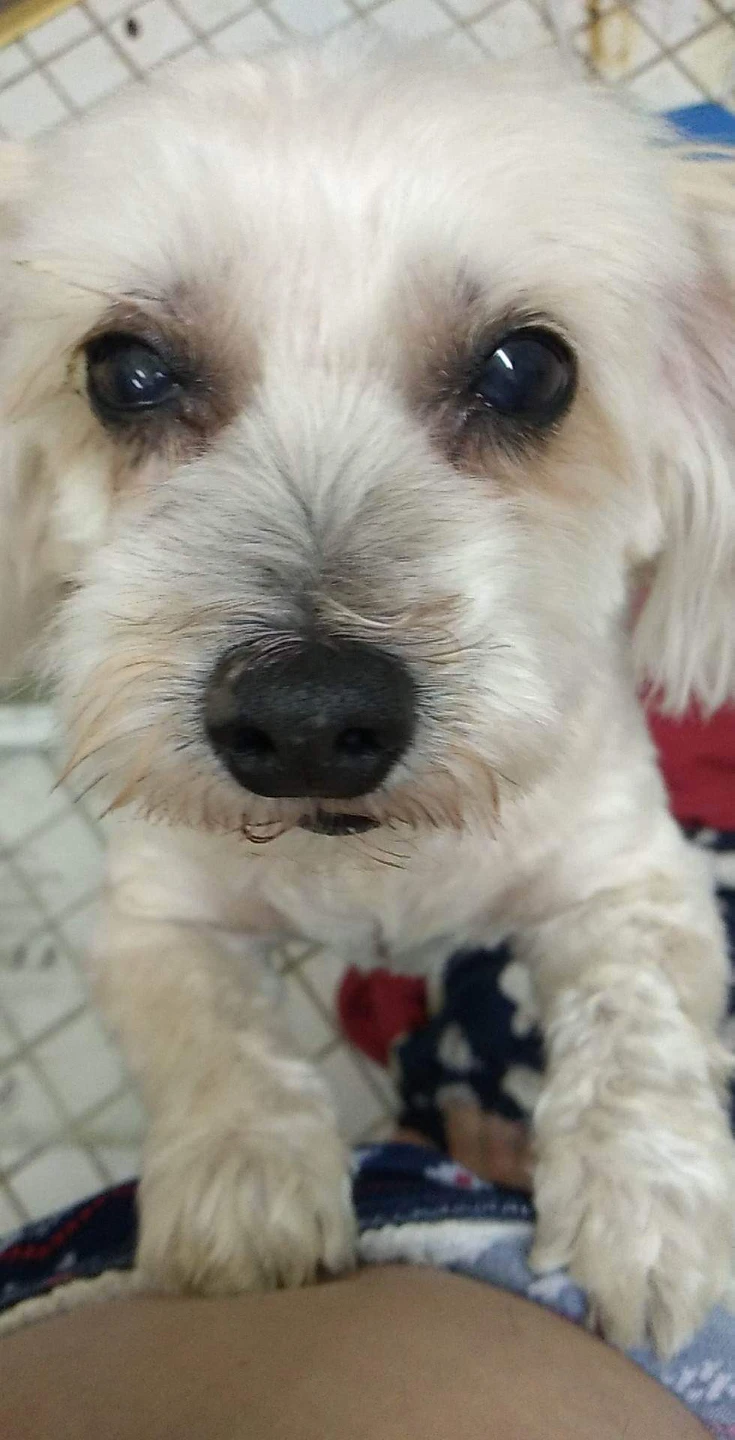 mia profile