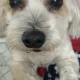 mia profile