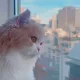 Vivian profile