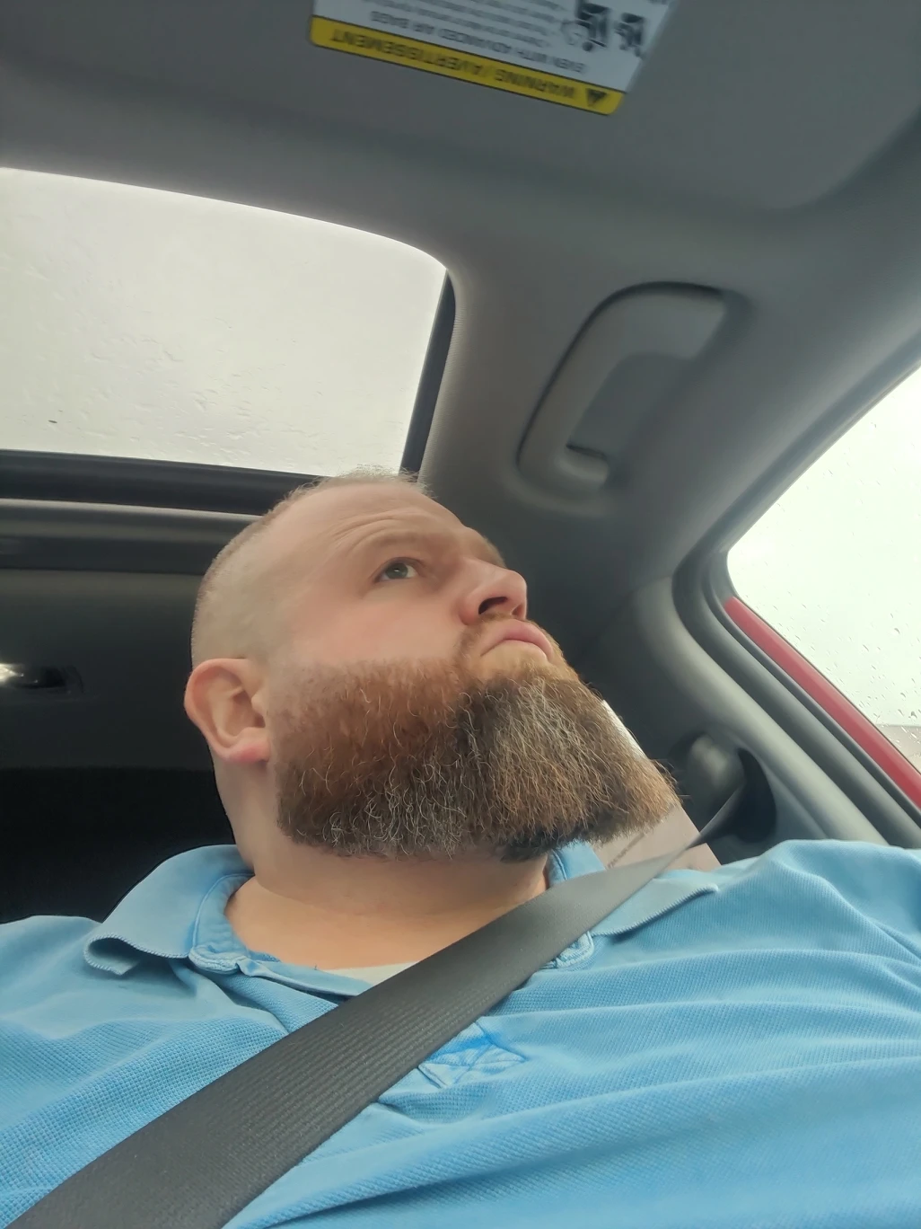 andy profile
