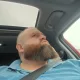 andy profile