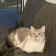 TJ profile