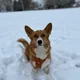 KChan profile