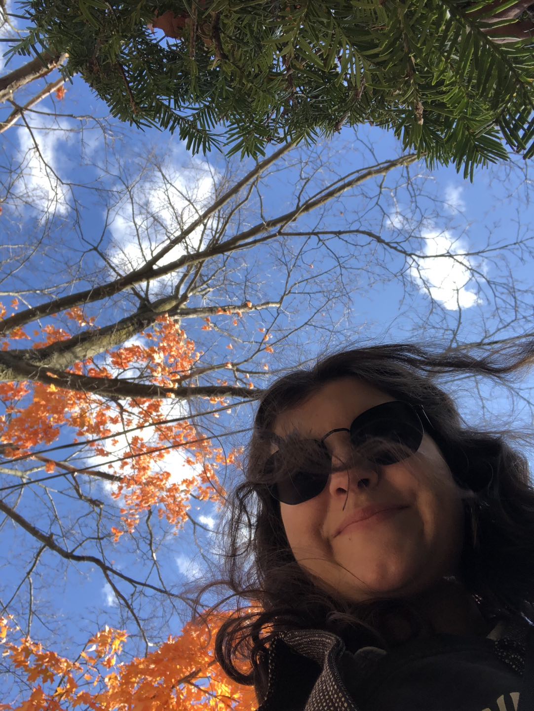 Robyn Hoja profile