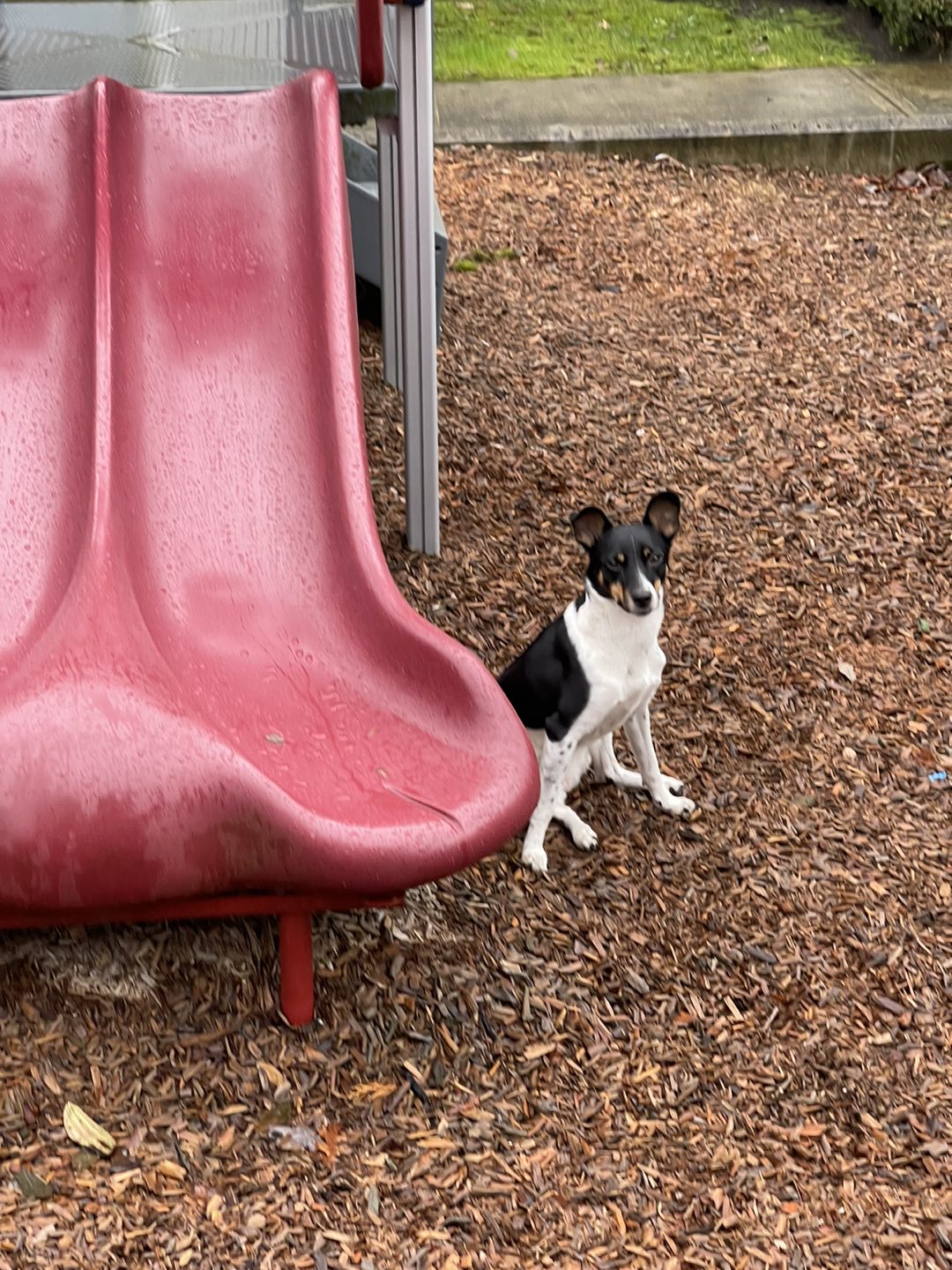 max profile