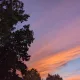 Home Sweet Hamilton profile