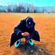 Jay profile