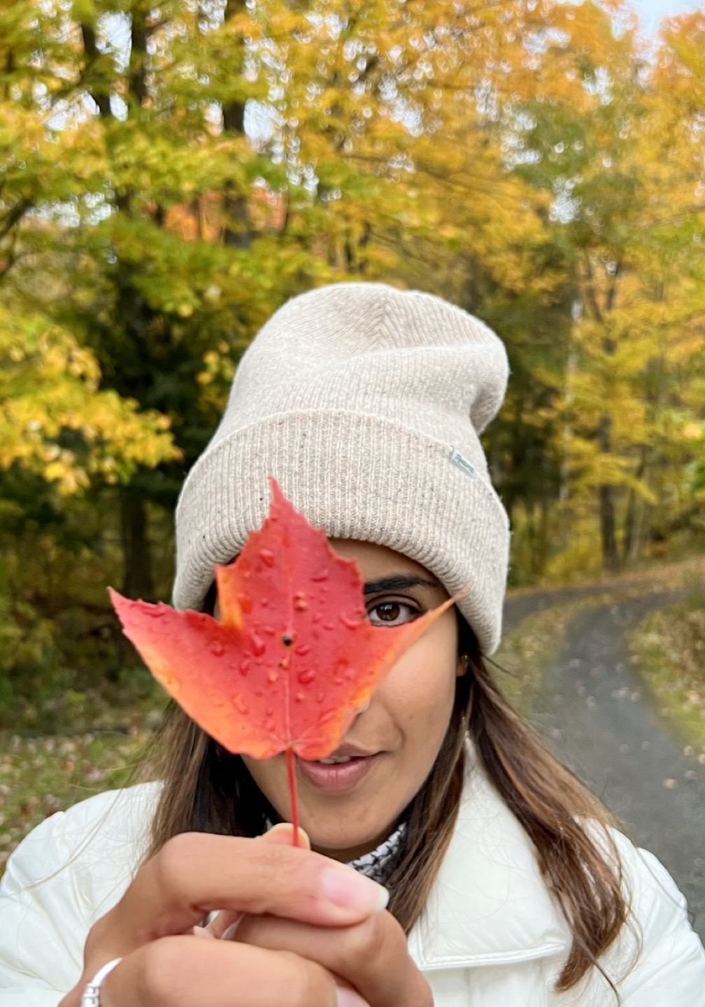 Pari J profile