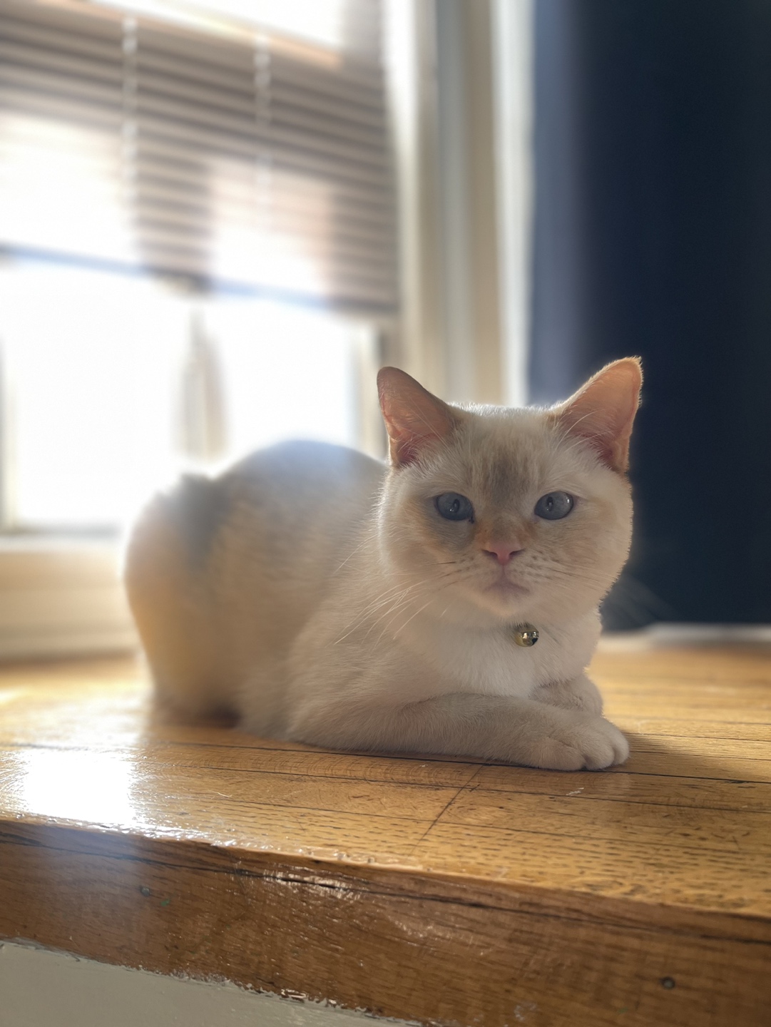 Nancy profile