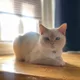 Nancy profile