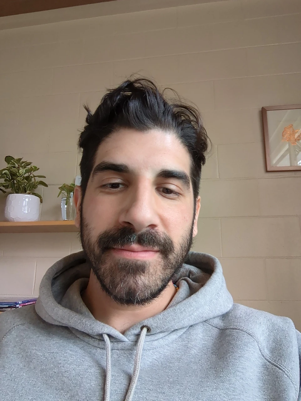 Dominic Maggiolo