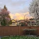 Beverly profile