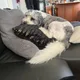 Gina profile