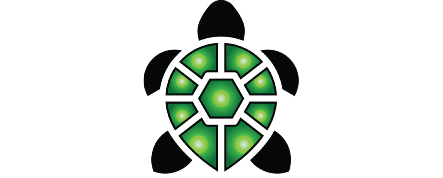 Turtletronix PCs