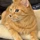 Tammy profile