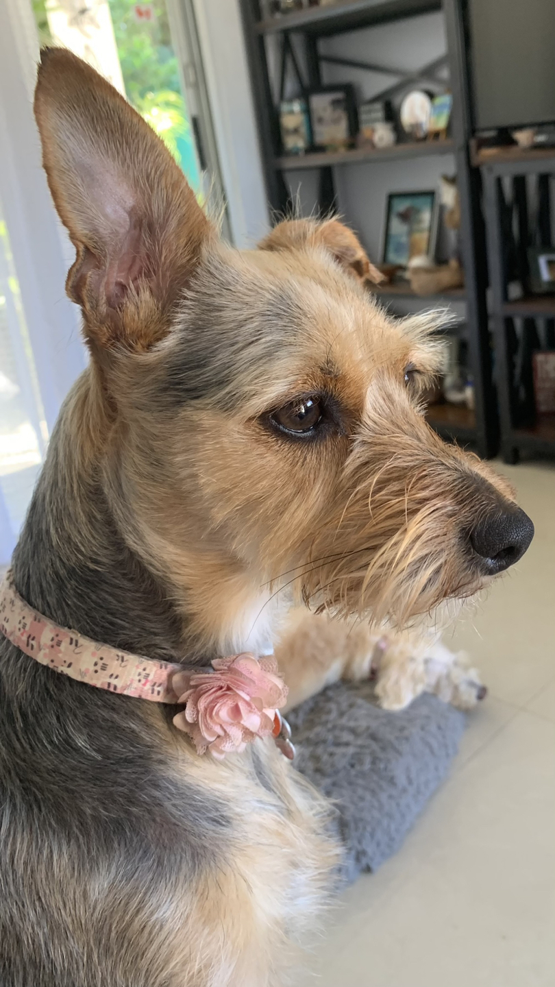 Linda profile