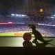 Fer profile