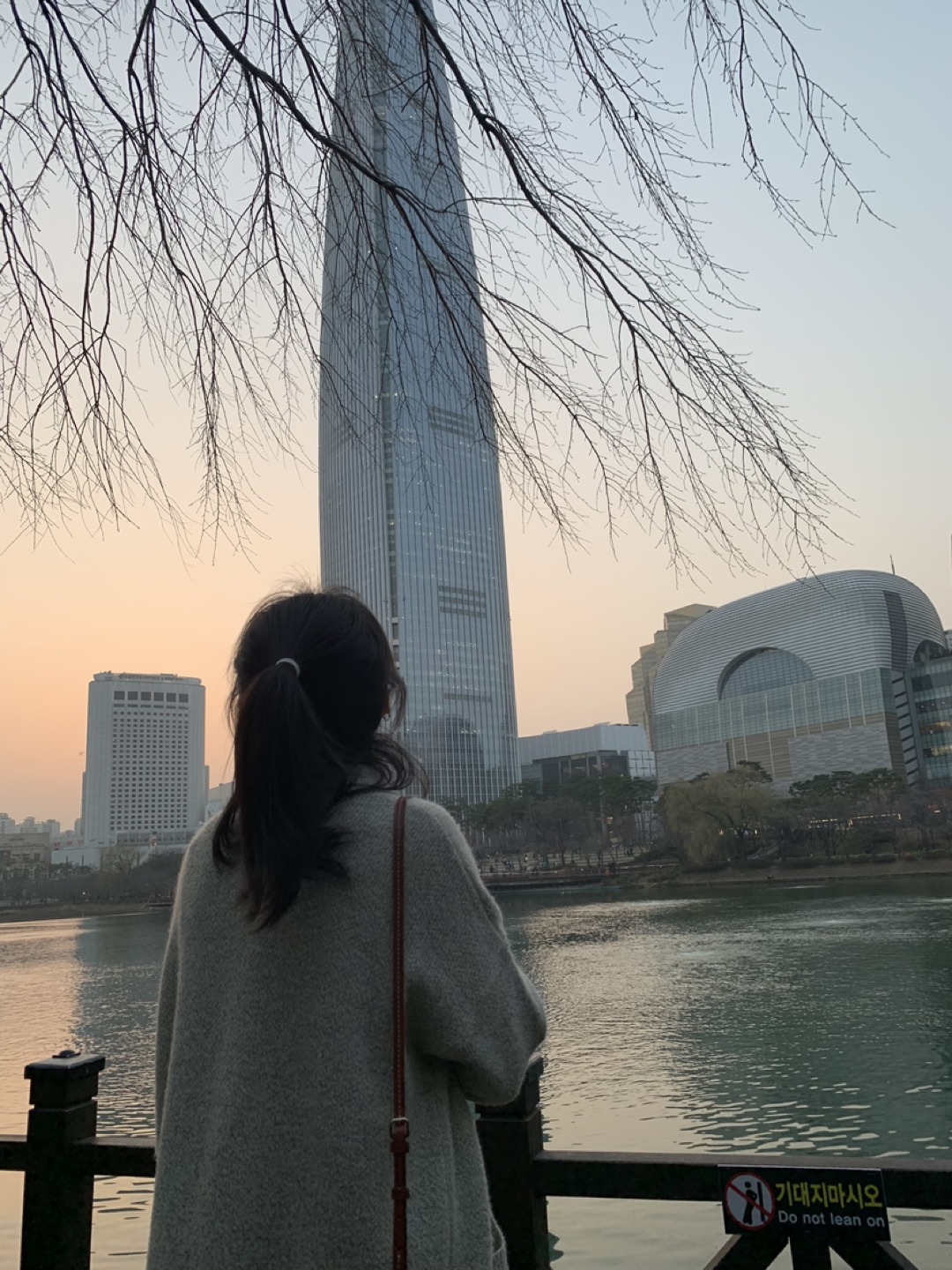 Lee profile