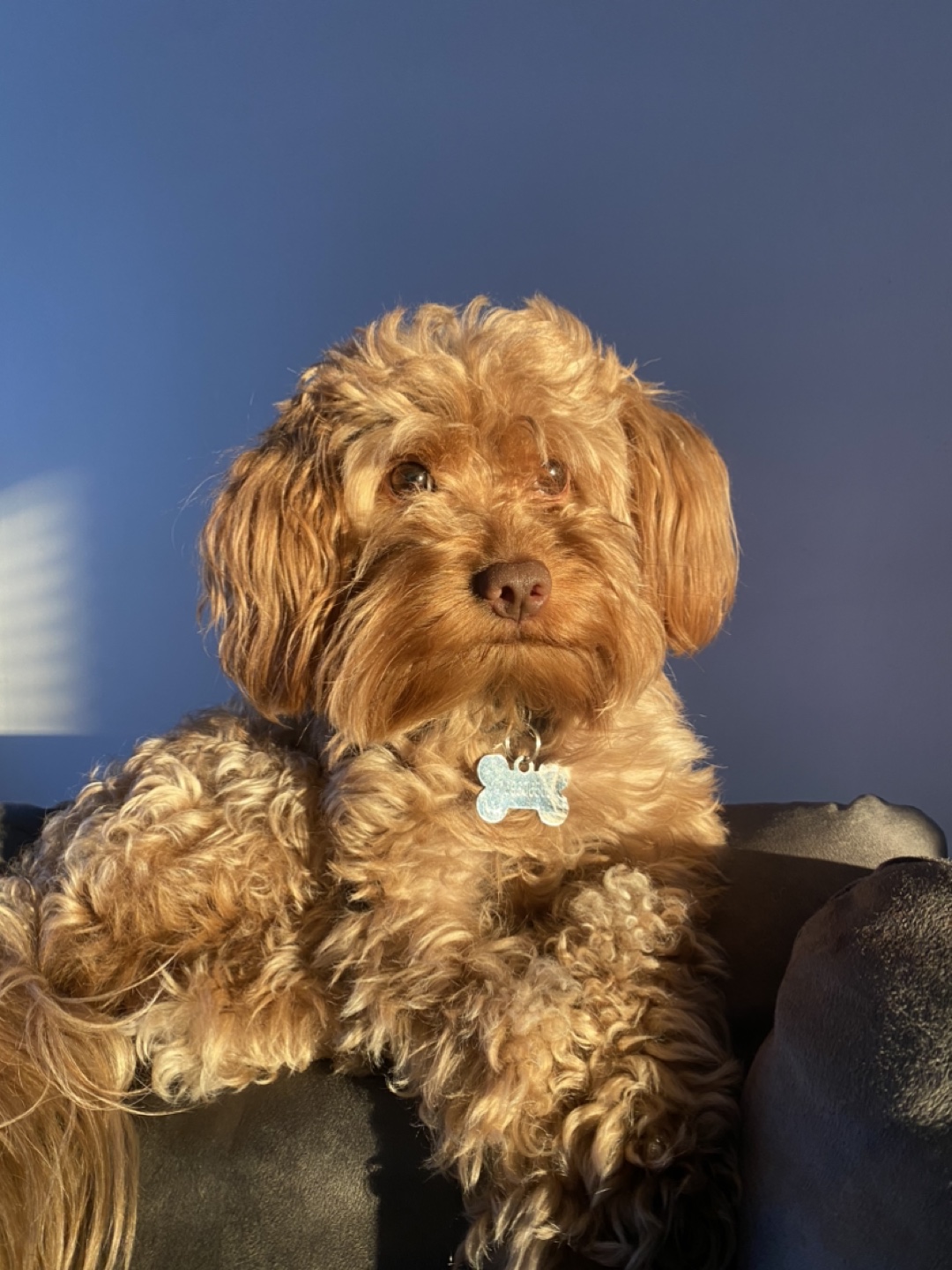 Keziah profile