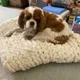 Annabelle profile